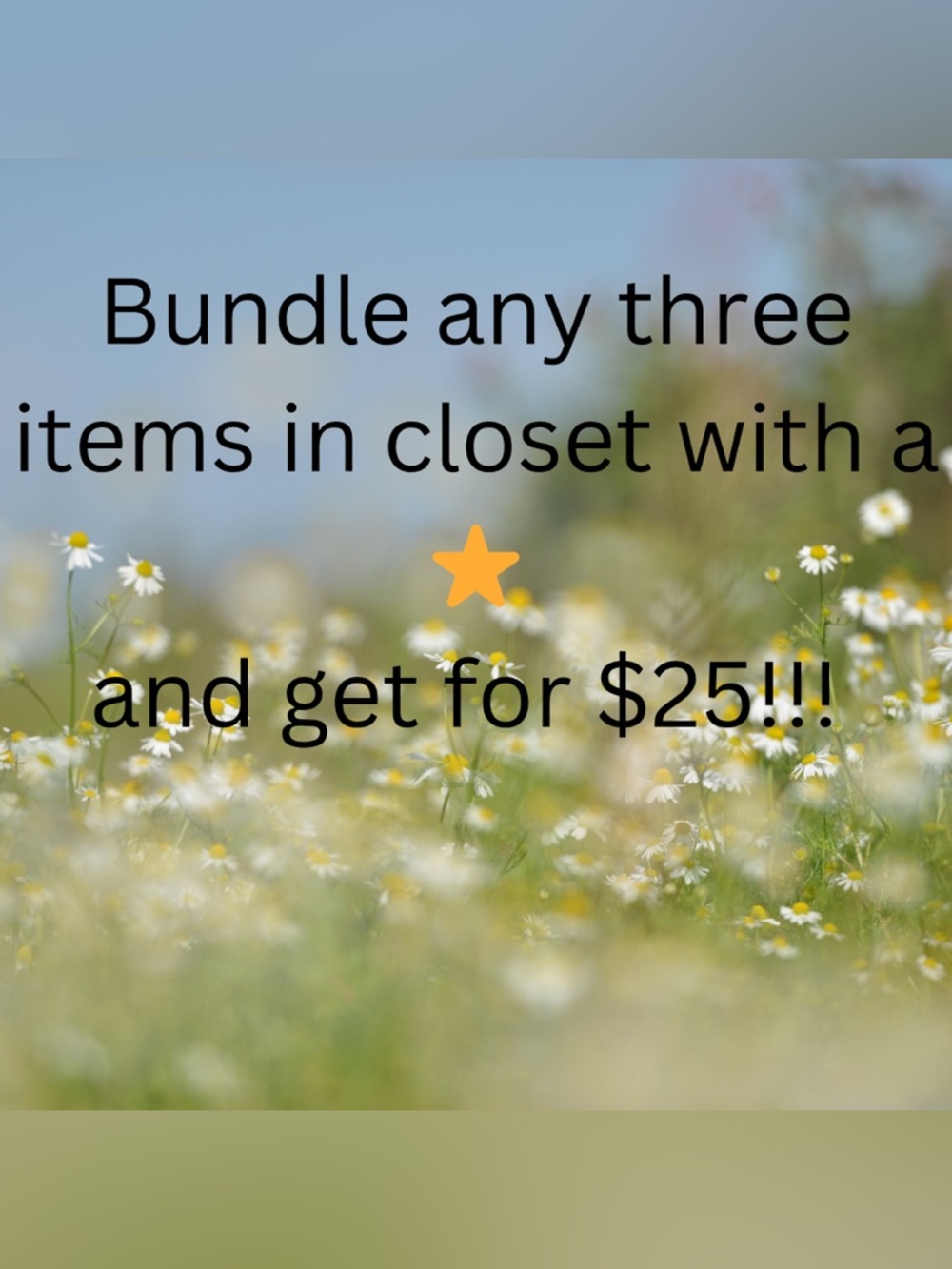 Any items marked with a ⭐️, can get three items for $25